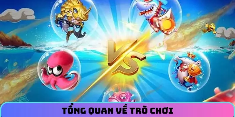 Tổng quan về trò chơi