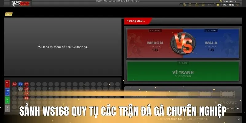 Sảnh WS168 quy tụ các trận đá gà chuyên nghiệp