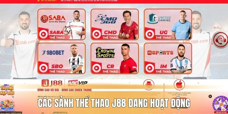 Các sảnh thể thao J88 đang hoạt động